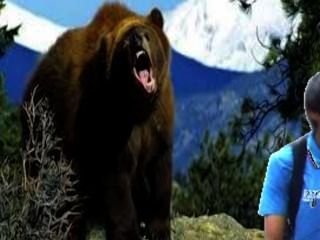 Человек fapping на медведя